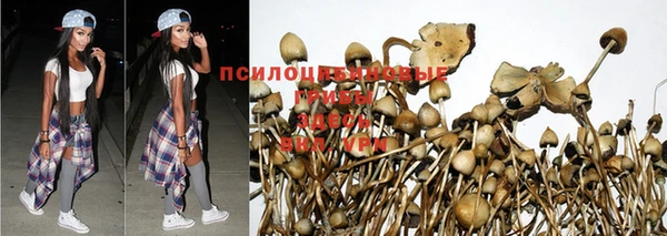 a pvp Армянск